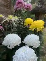 大宮温泉神社の自然