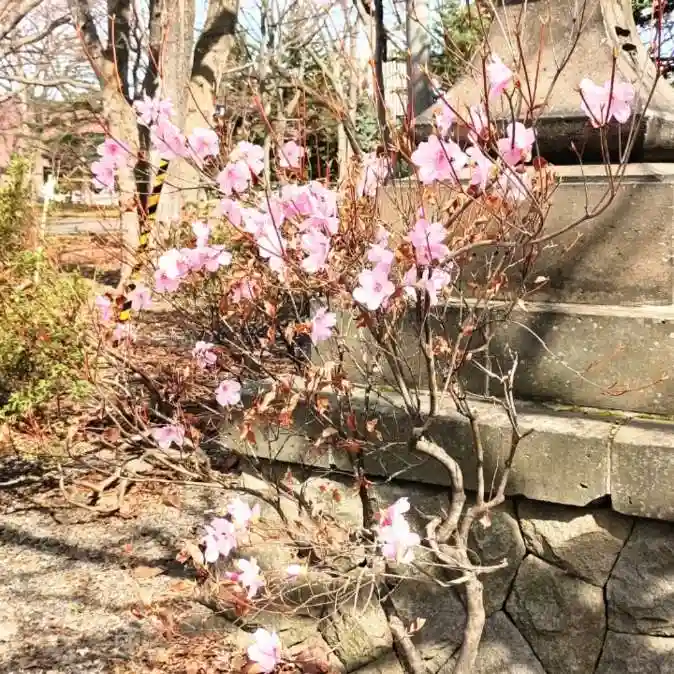 彌彦神社 (伊夜日子神社)の自然