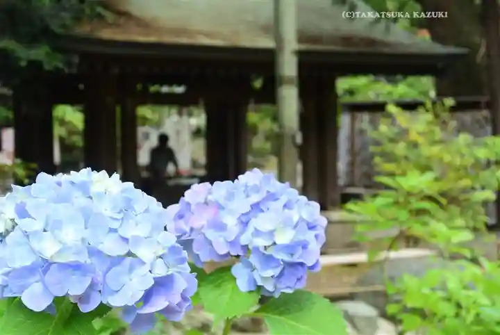 平塚八幡宮(神奈川県)