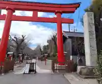 鷲宮神社(埼玉県)