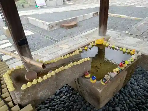 くろ谷 金戒光明寺(京都府)