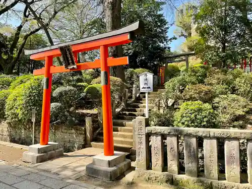 乙女稲荷神社の鳥居