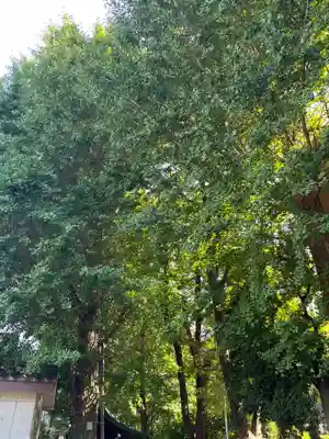 穏田神社(東京都)