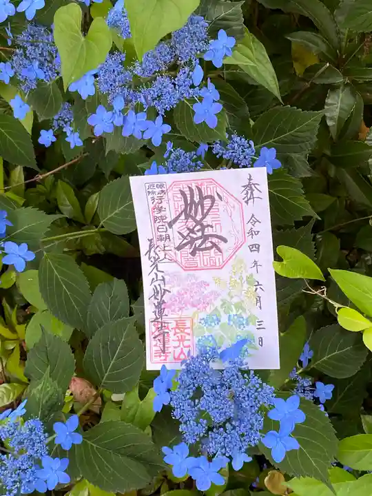 妙蓮寺(神奈川県)