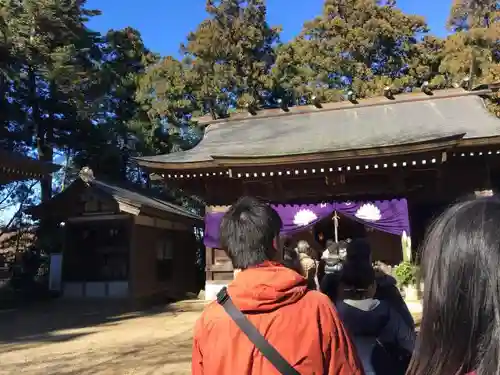 阿夫利神社の山門・神門