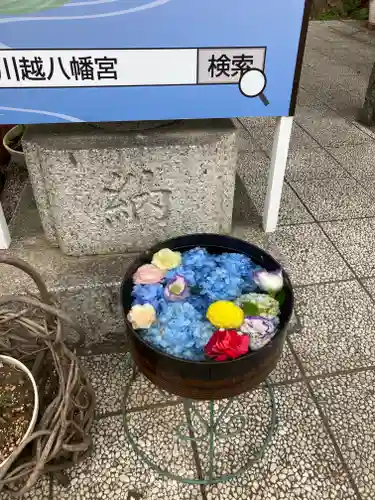 川越八幡宮(埼玉県)