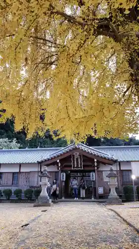 丹生酒殿神社の自然