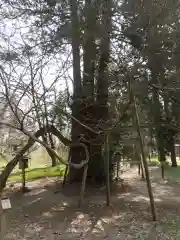 伊佐須美神社(福島県)