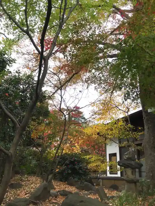 広徳寺の自然