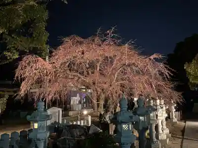 観音神社(広島県)