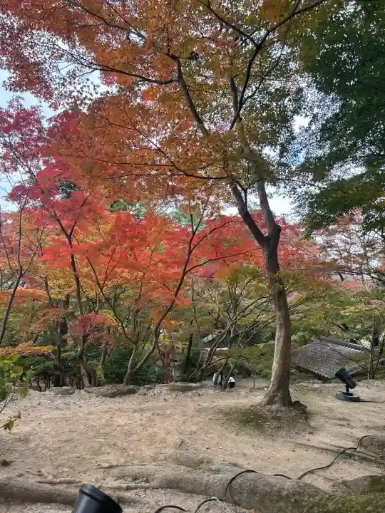 宝満宮竈門神社(福岡県)