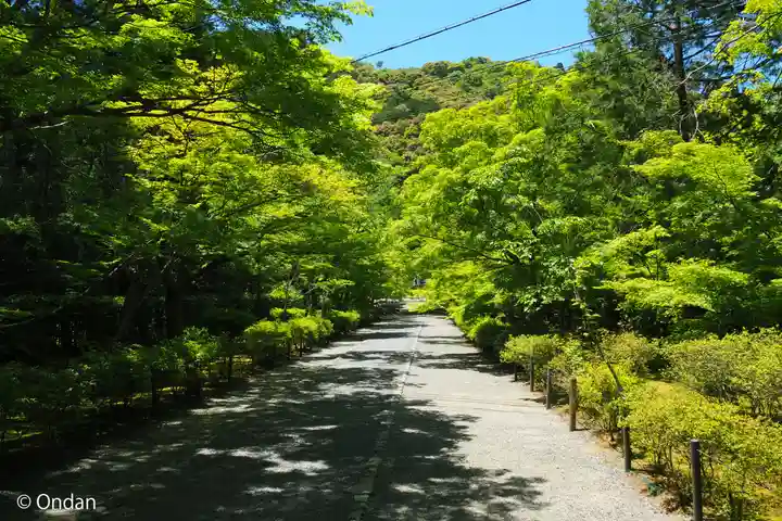 二尊院(京都府)