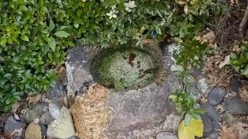 菟道稚郎子尊宇治墓の手水舎