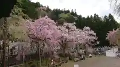 清雲寺の自然