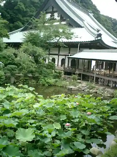 光明寺の庭園