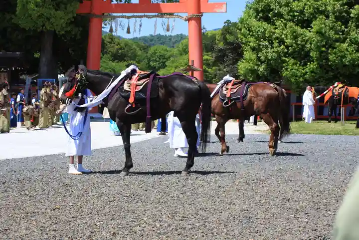 賀茂別雷神社(上賀茂神社)(京都府)