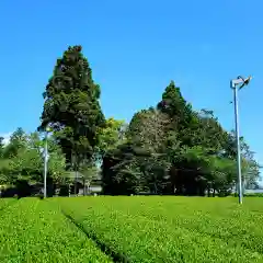 八坂神社(静岡県)