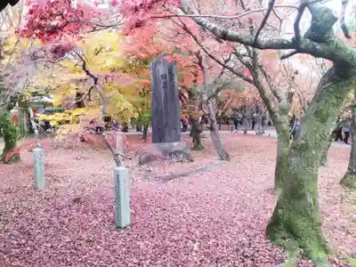 東福禅寺(東福寺)(京都府)