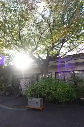廣田神社～病厄除守護神～(青森県)