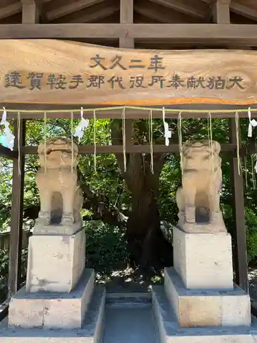 春日神社の狛犬