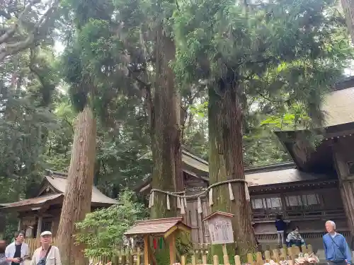 高千穂神社の{uncategorized: "未分類", other: "その他", undefined: "問題あり", building: "その他建物", grave: "お墓", sacred_gate: "鳥居", guardian: "狛犬", statue: "像", buddha: "仏像", history: "歴史", nature: "自然", garden: "庭園", animal: "動物", pagoda: "塔", temizu: "手水舎", mountain_gate: "山門・神門", sanctuary: "本殿・本堂", subordinate: "末社・摂社", art: "芸術", scenery: "景色", jizo: "地蔵", ema: "絵馬", goshuin: "御朱印", omikuji: "おみくじ", items: "授与品その他", amulet: "お守り", goshuincho: "御朱印帳", eats: "食事", festival: "お祭り", votive_dance: "神楽", shichigosan: "七五三参", wedding: "結婚式", experience: "体験その他", initially: "初詣", around: "周辺", anti_infection: "感染症対策"}