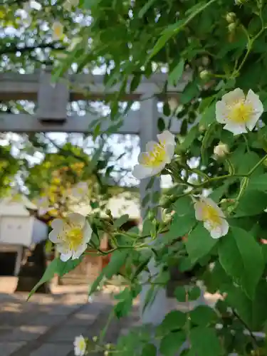 本郷氷川神社(東京都)