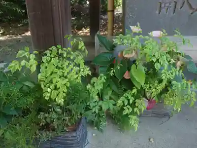 狭山八幡神社(埼玉県)