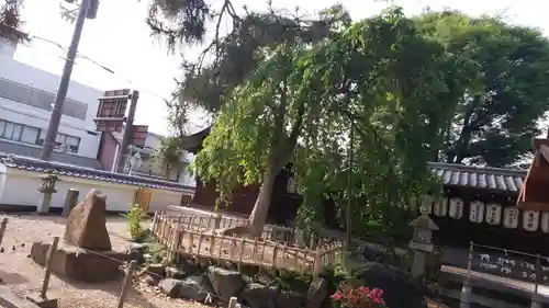 縣神社のその他建物