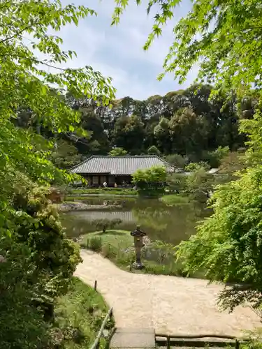 浄瑠璃寺(京都府)