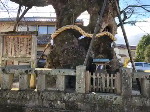 中山神社の自然