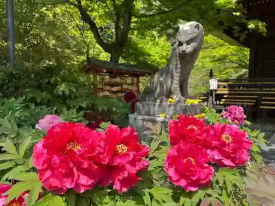多聞院の{uncategorized: "未分類", other: "その他", undefined: "問題あり", building: "その他建物", grave: "お墓", sacred_gate: "鳥居", guardian: "狛犬", statue: "像", buddha: "仏像", history: "歴史", nature: "自然", garden: "庭園", animal: "動物", pagoda: "塔", temizu: "手水舎", mountain_gate: "山門・神門", sanctuary: "本殿・本堂", subordinate: "末社・摂社", art: "芸術", scenery: "景色", jizo: "地蔵", ema: "絵馬", goshuin: "御朱印", omikuji: "おみくじ", items: "授与品その他", amulet: "お守り", goshuincho: "御朱印帳", eats: "食事", festival: "お祭り", votive_dance: "神楽", shichigosan: "七五三参", wedding: "結婚式", experience: "体験その他", initially: "初詣", around: "周辺", anti_infection: "感染症対策"}