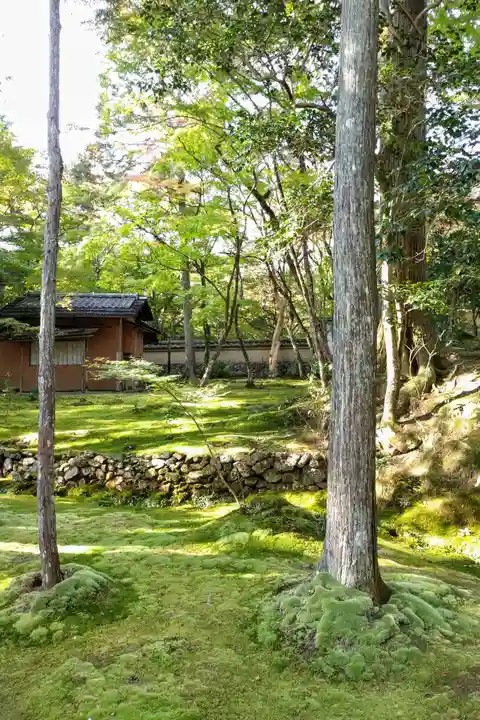 西芳寺(京都府)