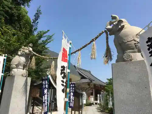 宝寿院の狛犬