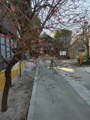 猿田彦神社(東京都)