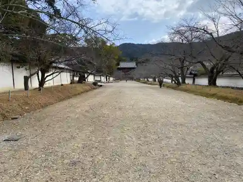 醍醐寺(京都府)
