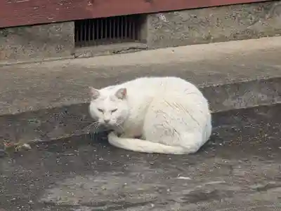 神明社(神奈川県)