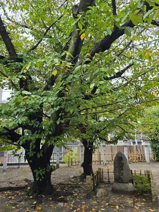 真田山 三光神社(大阪府)