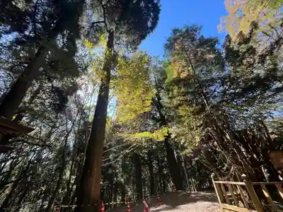 幣立神宮(熊本県)