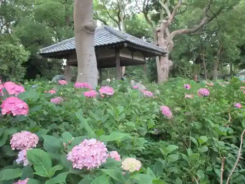 藤森神社の庭園