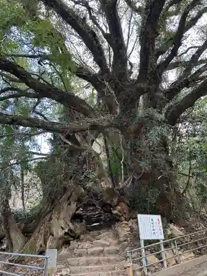 大山祇神社(愛媛県)