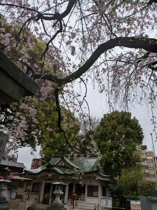 荻窪白山神社(東京都)