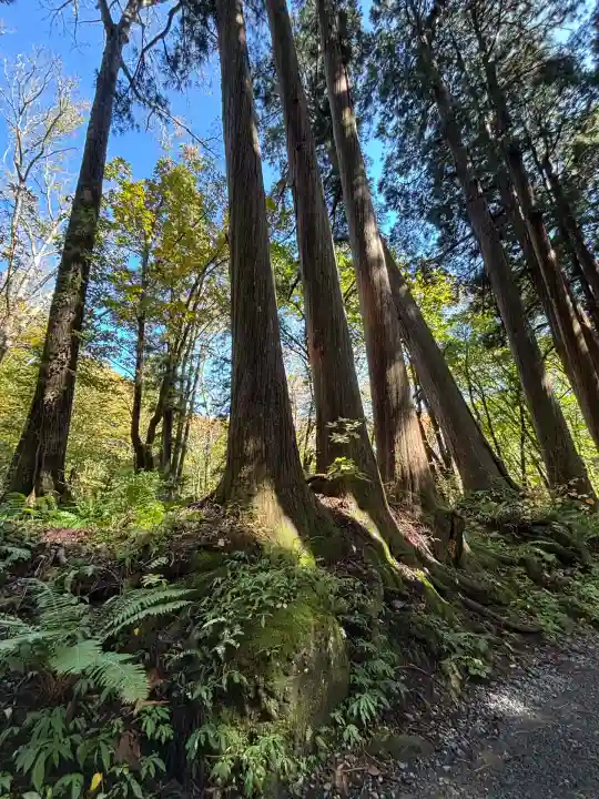 戸隠神社奥社(長野県)
