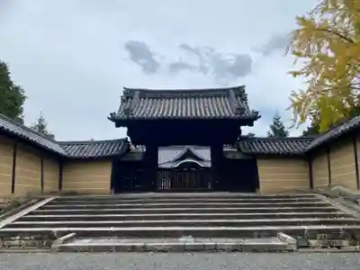 隨心院(随心院)の山門・神門