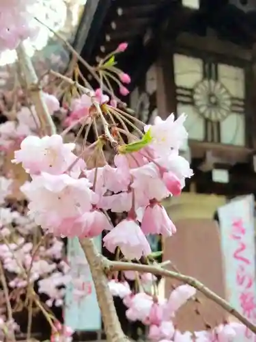 大宮八幡宮(東京都)