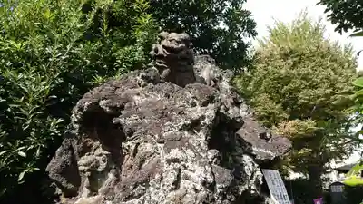 八幡八雲神社の狛犬