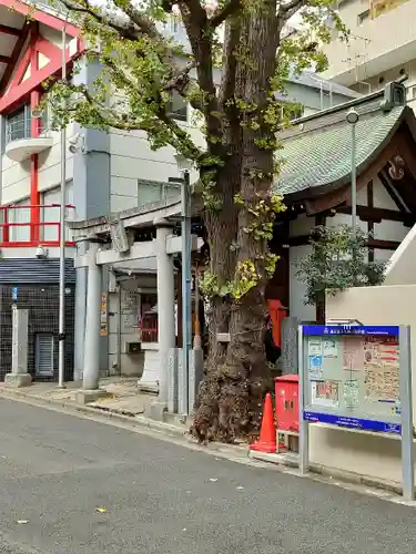 大井蔵王権現神社(東京都)