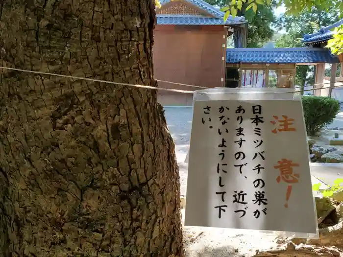 御坂神社の建物その他