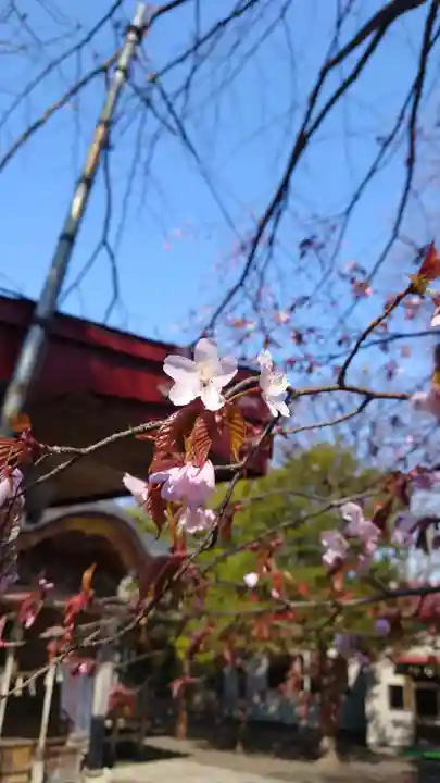 相馬神社(北海道)