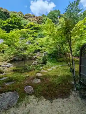 実相院門跡(京都府)