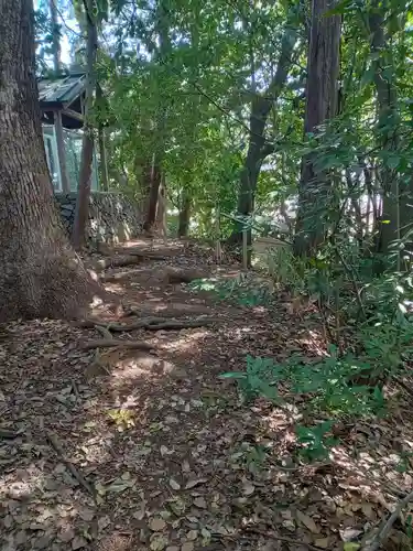 新熊野神社(京都府)